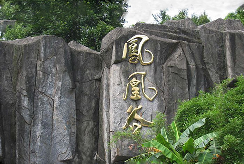 师宗菌子山、凤